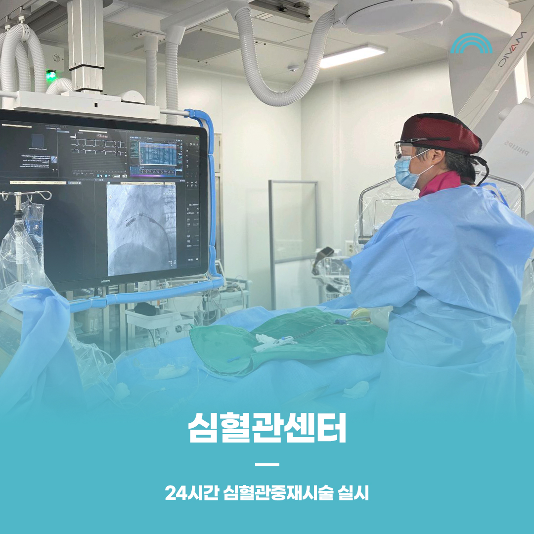 배너 이미지