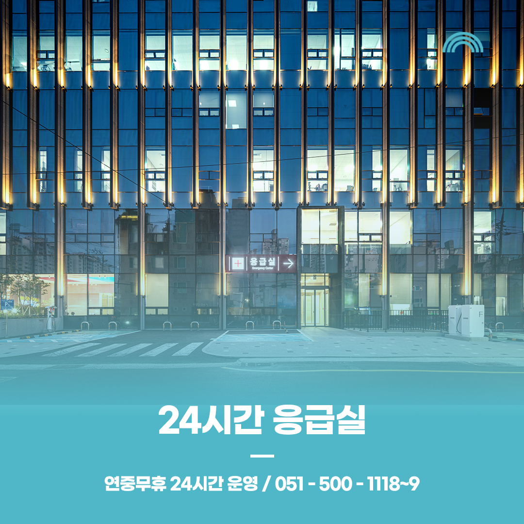 배너 이미지